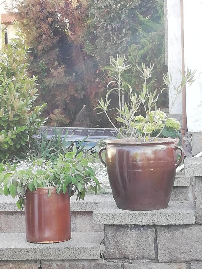 Appartement Edeltraud Zentral Wernigerode
